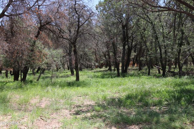 102 E RAMSEY CANYON Road, Hereford, AZ 85615