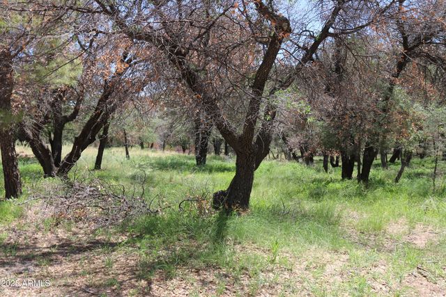 102 E RAMSEY CANYON Road, Hereford, AZ 85615