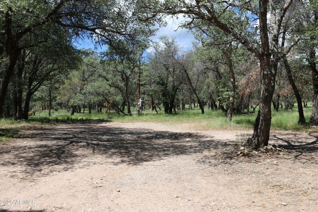 102 E RAMSEY CANYON Road, Hereford, AZ 85615