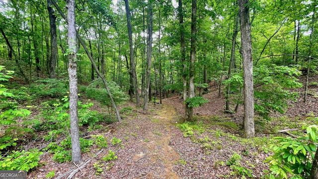 7460 Highway 101 N, Rockmart, GA 30153