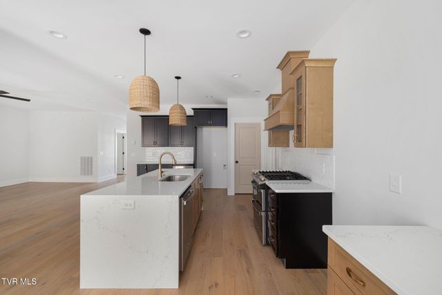 235 Winston Place, Johnson City, TN 37615