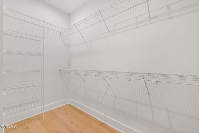 235 Winston Place, Johnson City, TN 37615