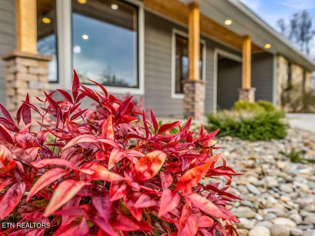 1271 Whitaker Rd, New Market, TN 37820