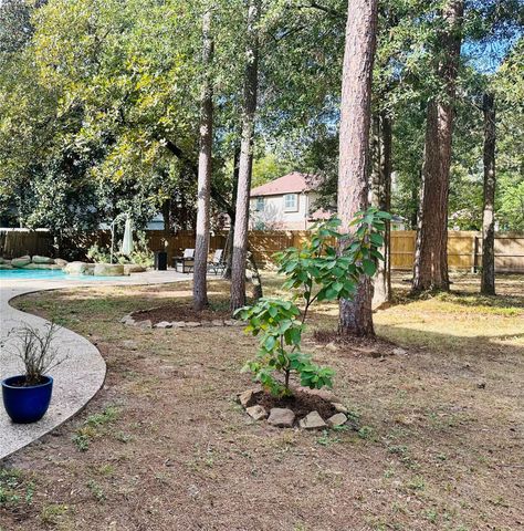 75 N Misty Canyon Place, The Woodlands, TX 77385