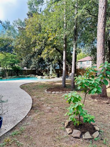 75 N Misty Canyon Place, The Woodlands, TX 77385