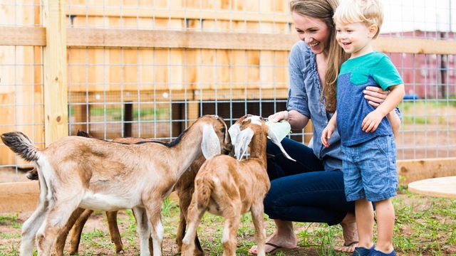 230 Mandarin Mist Street, Richmond, TX 77406