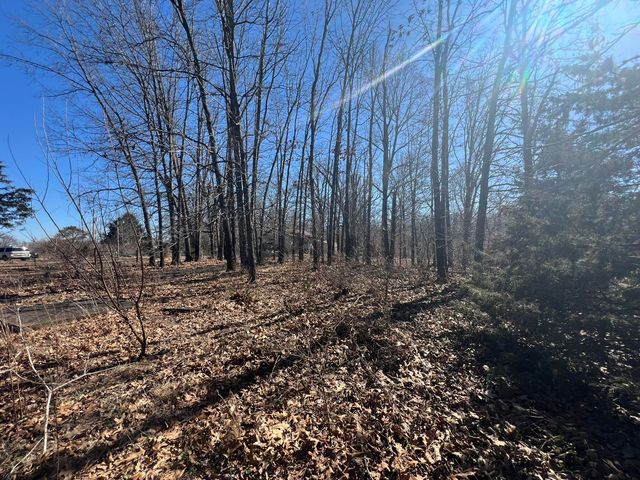 5155 County Road 4630, Pomona, MO 65789