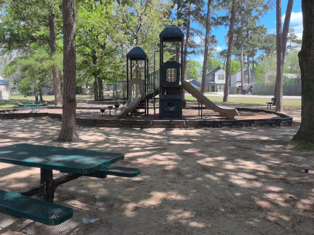 9775 Black Gum, Willis, TX 77318