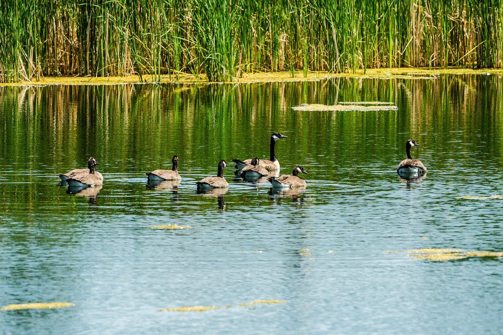 TBD Dundee Cove, Sheridan, WY 82801 photo 14