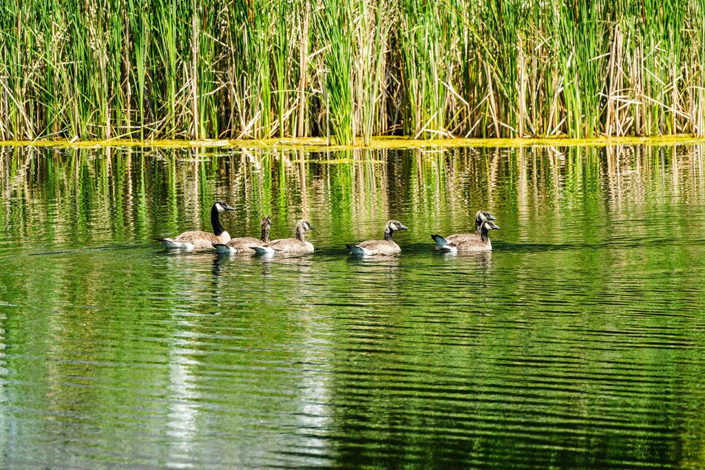 TBD Dundee Cove, Sheridan, WY 82801 photo 4