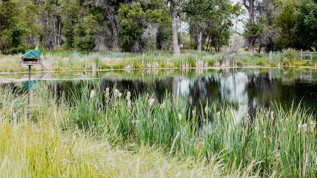 TBD Dundee Cove, Sheridan, WY 82801 photo 5