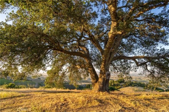 2762 Adelaida, Paso Robles, CA 93446