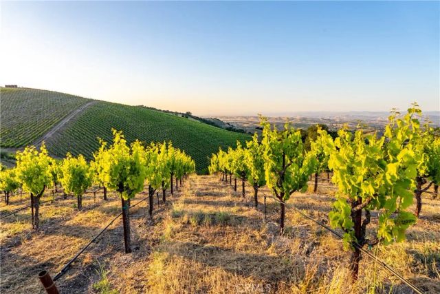 2762 Adelaida, Paso Robles, CA 93446