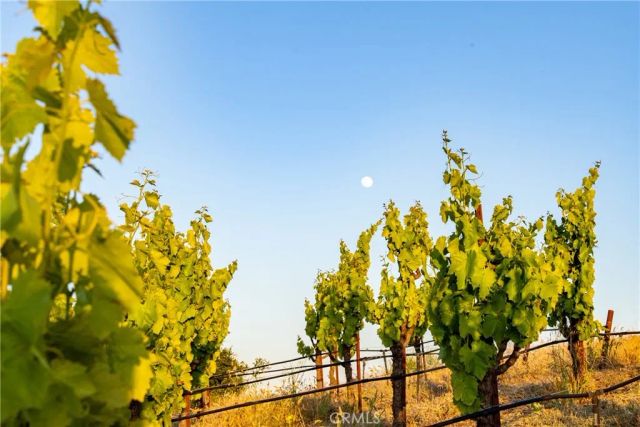2762 Adelaida, Paso Robles, CA 93446