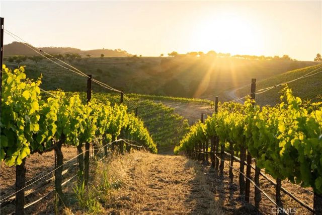 2762 Adelaida, Paso Robles, CA 93446