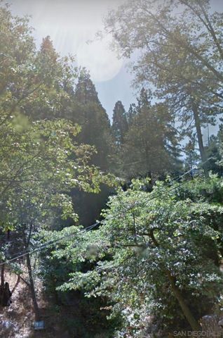 0 Forest Dr, Cedarpines Park, CA 92322