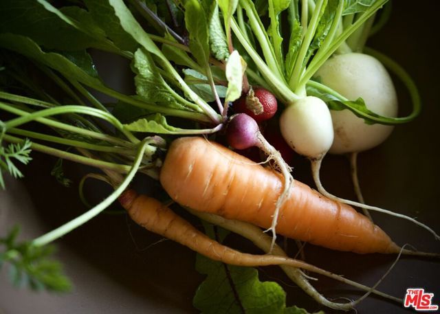 6009 Bonsall Drive, Malibu, CA 90265