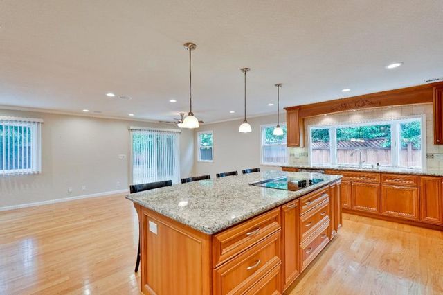 3767 Yerba Buena Court, San Jose, CA 95121