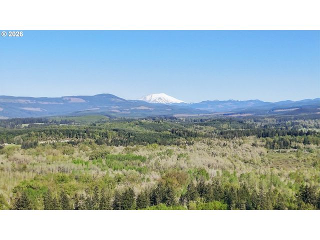 130 ZEPHYR Dr, Silver Lake, WA 98645