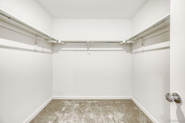 244 Kobe Lane, Johnstown, CO 80534