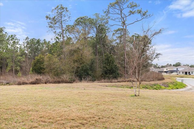 2891 LOTUS FLOWER TRAIL, Wesley Chapel, FL 33543