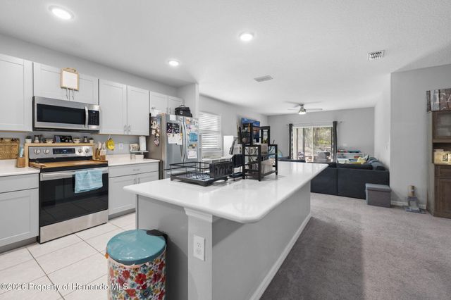 15439 Mount Sparrow Road, Weeki Wachee, FL 34614