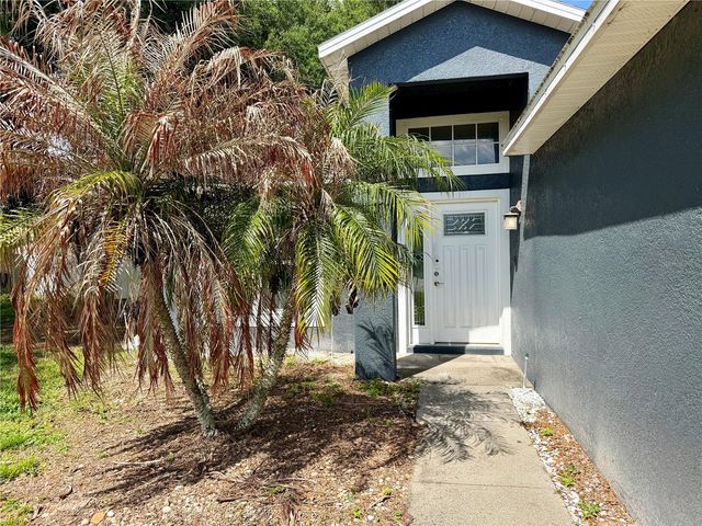 1453 WHOOPING DRIVE, Groveland, FL 34736