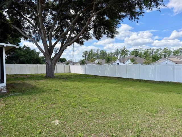 1453 WHOOPING DRIVE, Groveland, FL 34736