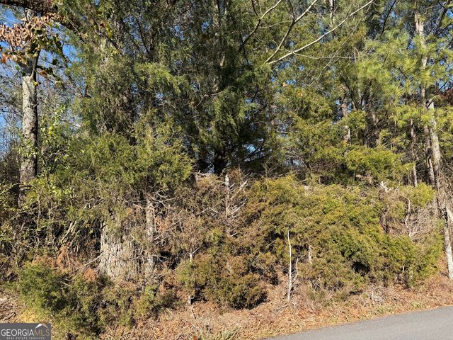 0000000 Liberty Church Road, Ranger, GA 30734