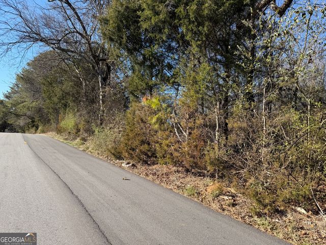 0000000 Liberty Church Road, Ranger, GA 30734
