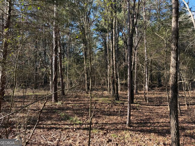 0000000 Liberty Church Road, Ranger, GA 30734