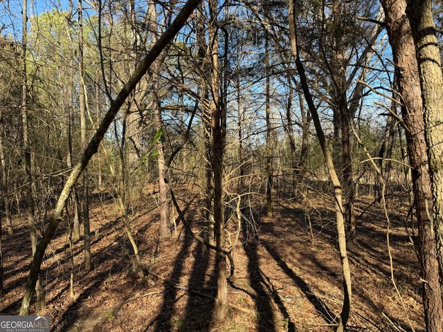 0000000 Liberty Church Road, Ranger, GA 30734