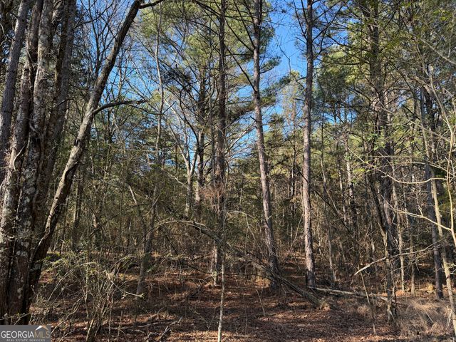 0000000 Liberty Church Road, Ranger, GA 30734