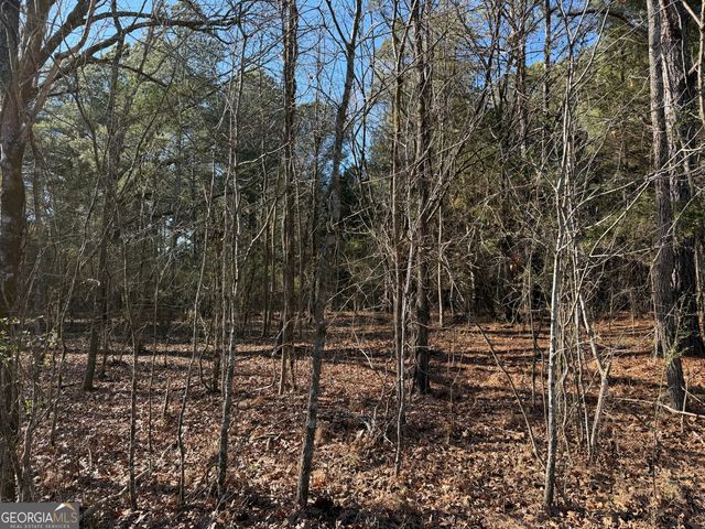 0000000 Liberty Church Road, Ranger, GA 30734