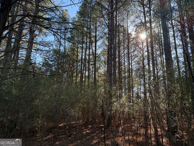 0000000 Liberty Church Road, Ranger, GA 30734