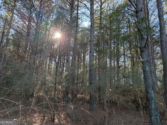 0000000 Liberty Church Road, Ranger, GA 30734