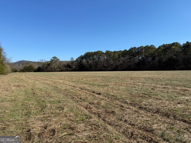 0000000 Liberty Church Road, Ranger, GA 30734