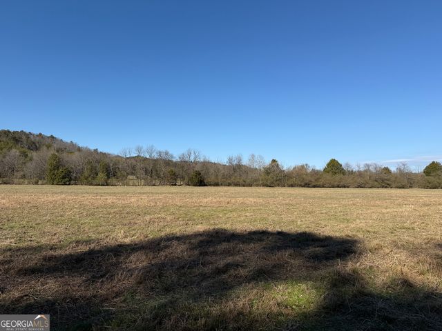 0000000 Liberty Church Road, Ranger, GA 30734