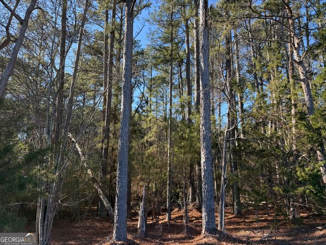 0000000 Liberty Church Road, Ranger, GA 30734