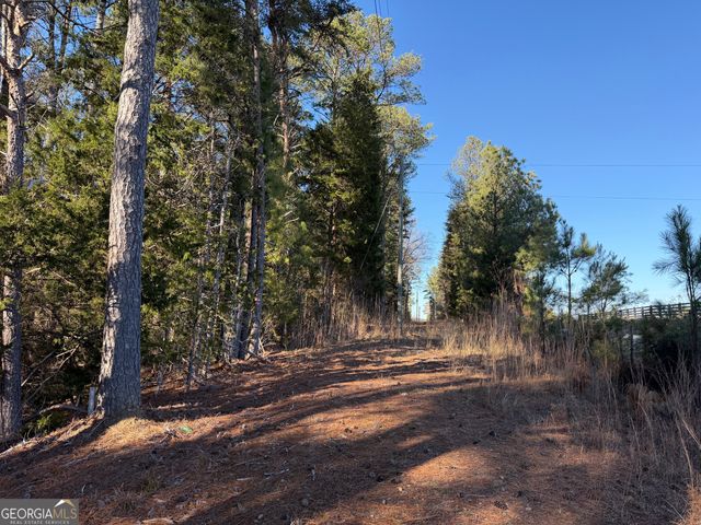 0000000 Liberty Church Road, Ranger, GA 30734
