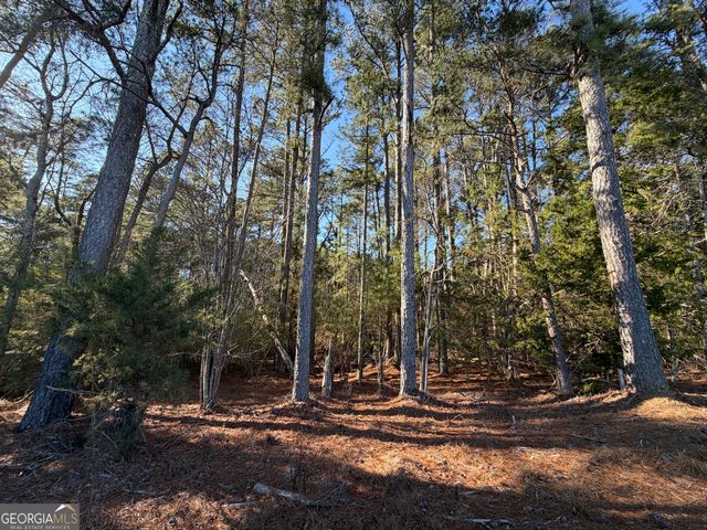 0000000 Liberty Church Road, Ranger, GA 30734