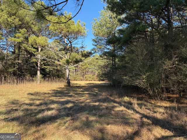 0000000 Liberty Church Road, Ranger, GA 30734