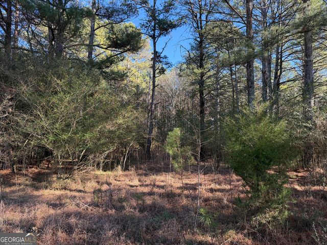 0000000 Liberty Church Road, Ranger, GA 30734