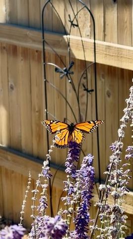 803 Thorncrest Dr, Pueblo, CO 81005