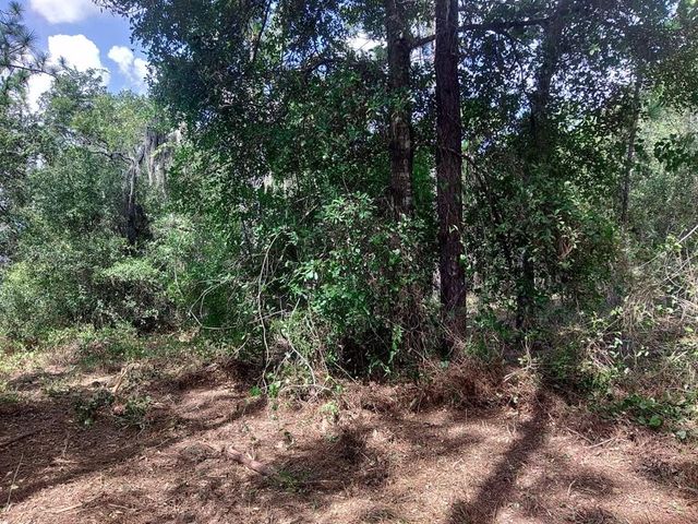 1850 W SR 44, Wildwood, FL 34785