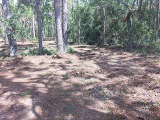 1850 W SR 44, Wildwood, FL 34785
