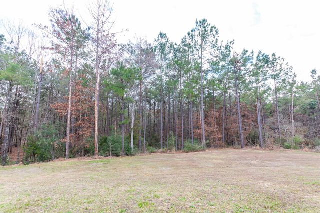 8199 CR 314, Laneville, TX 75667