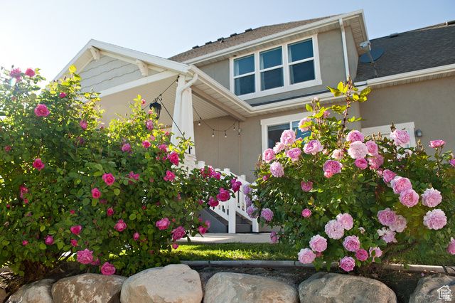 224 S DRY CREEK LN, Vineyard, UT 84058