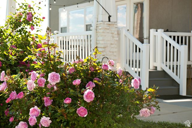 224 S DRY CREEK LN, Vineyard, UT 84058