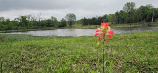 220 Private Road 6531, Canton, TX 75103